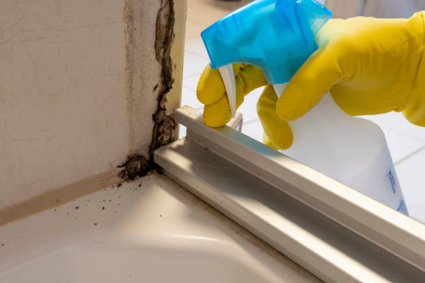 Mold Remediation for Vacation Homes in Elim, PA